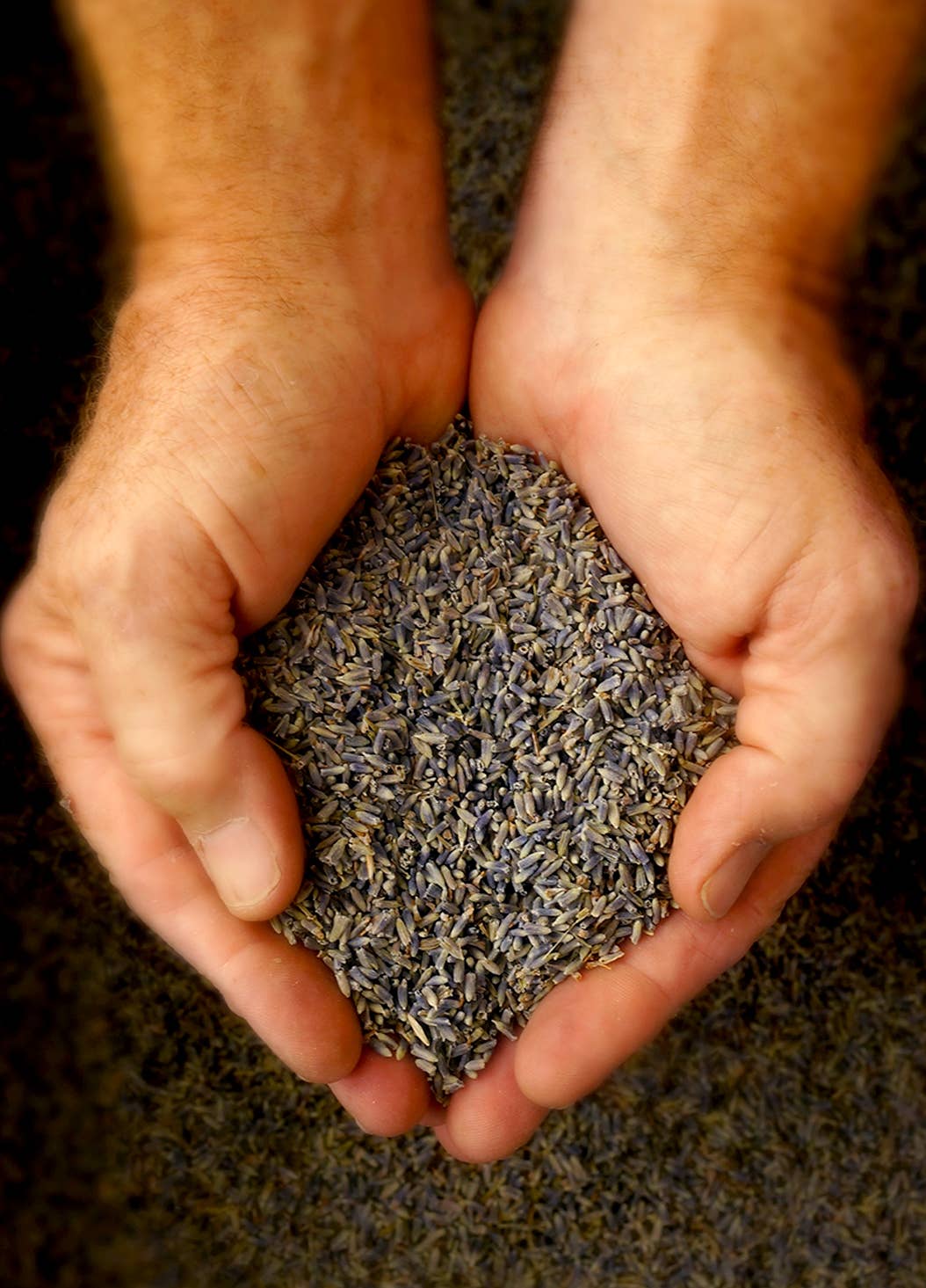 LAVENDER BUD SACHET