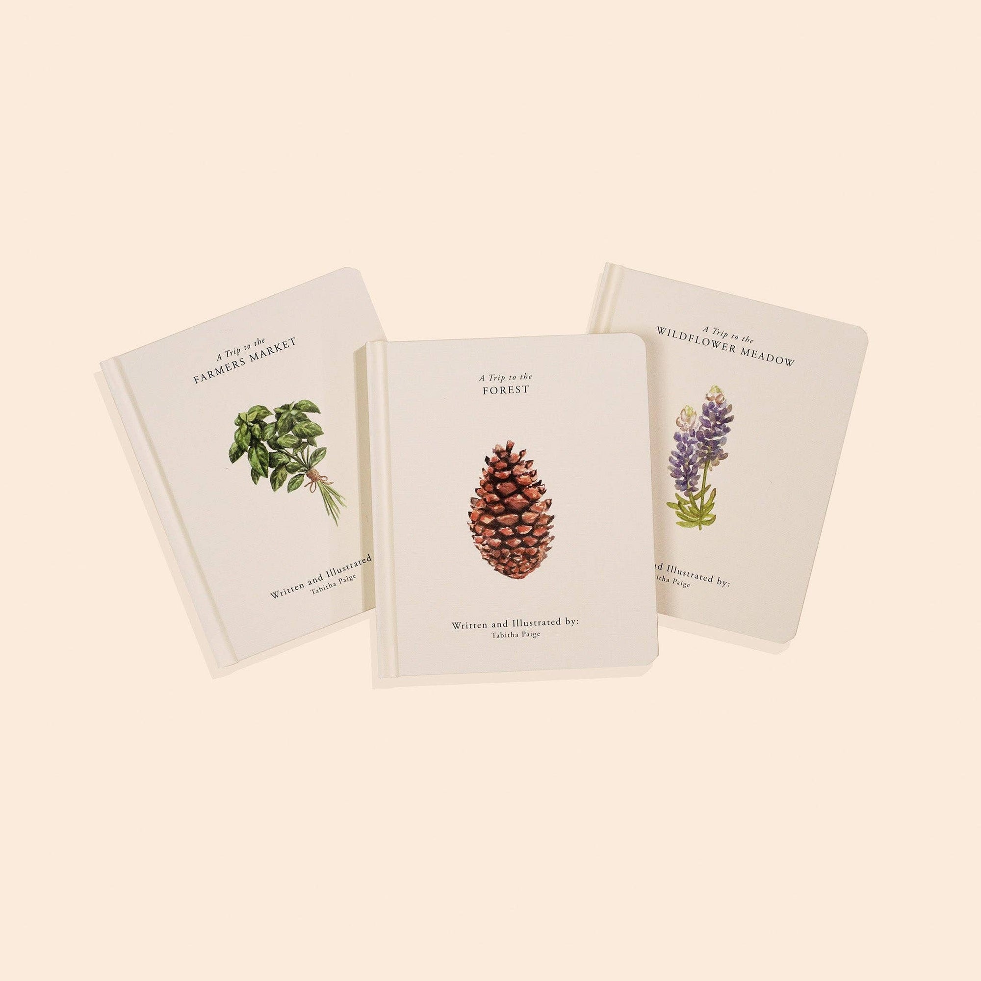 our little adventure box set, baby books, early learning