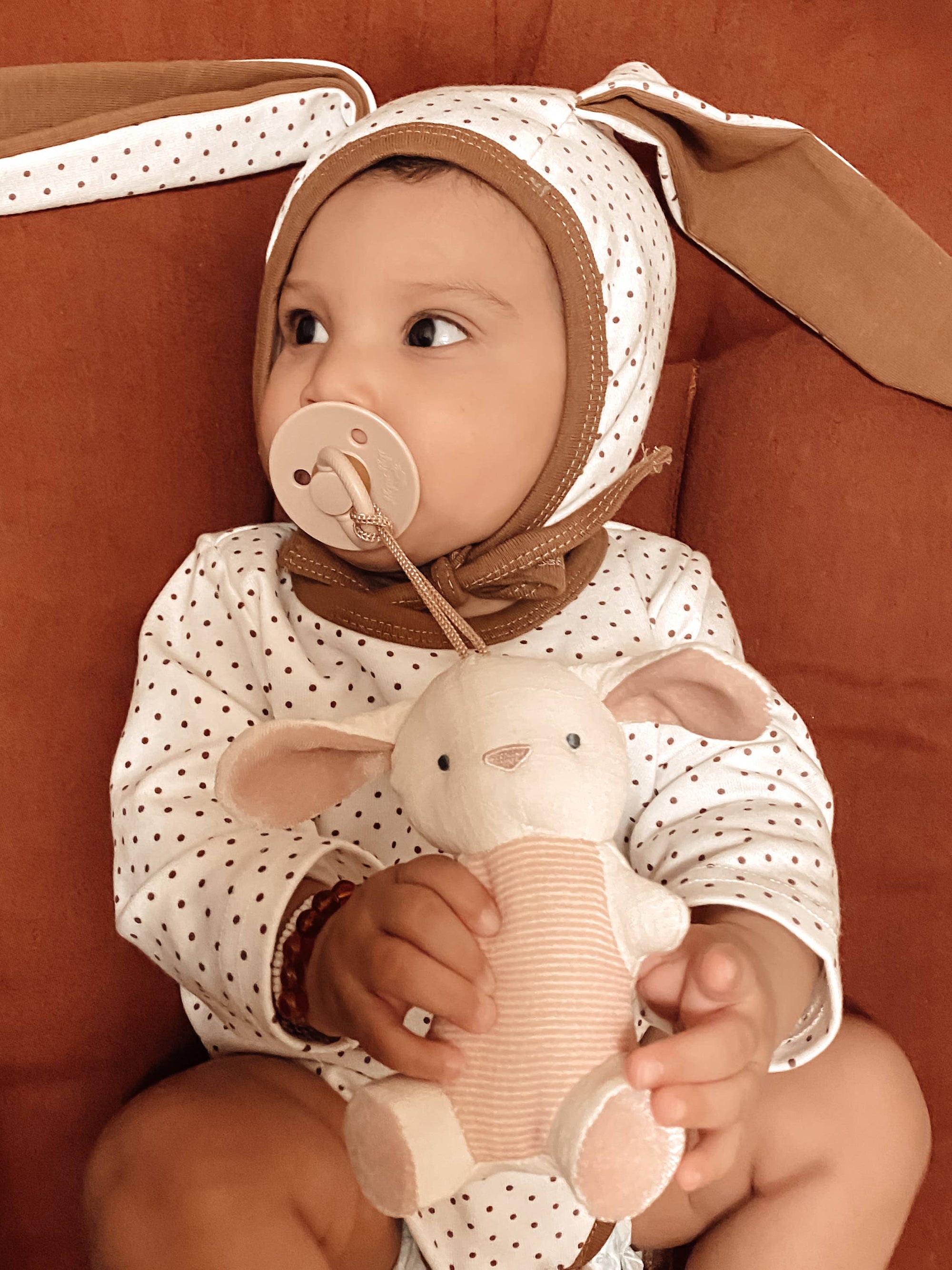 Natural Rubber Pacifier & Stuffed Animal: Bunny