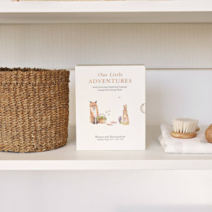 our little adventure box set, baby books, early learning