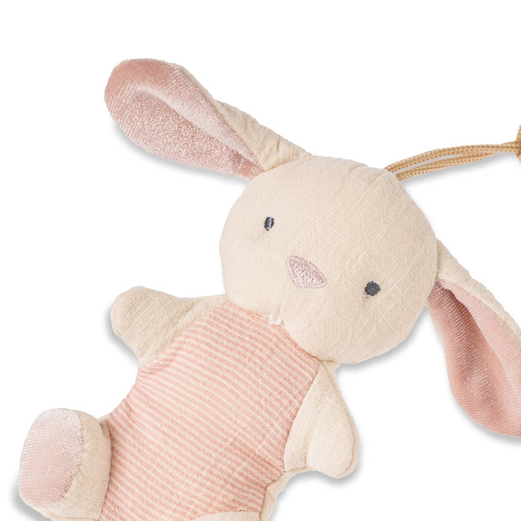 Natural Rubber Pacifier & Stuffed Animal: Bunny