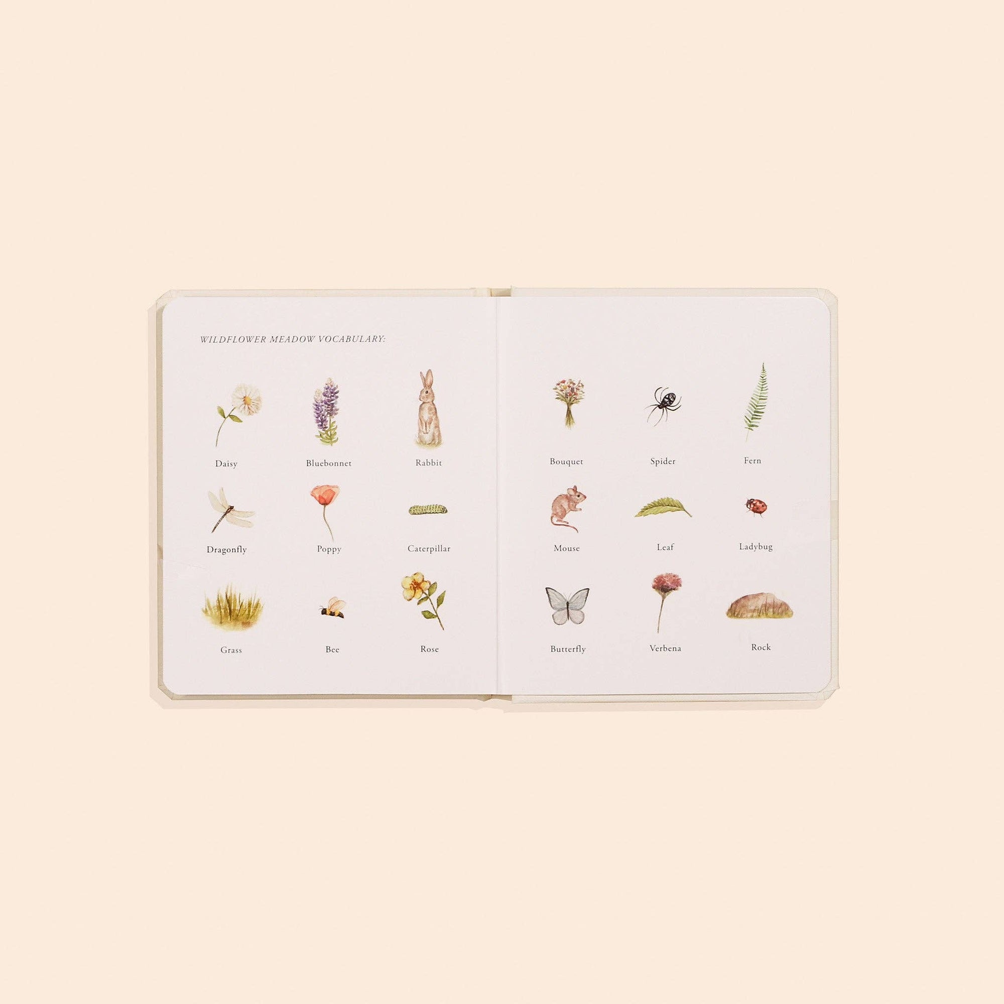 our little adventure box set, baby books, early learning