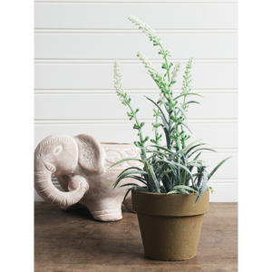 Flowering sage bush in pot, boo and rook, home accessories